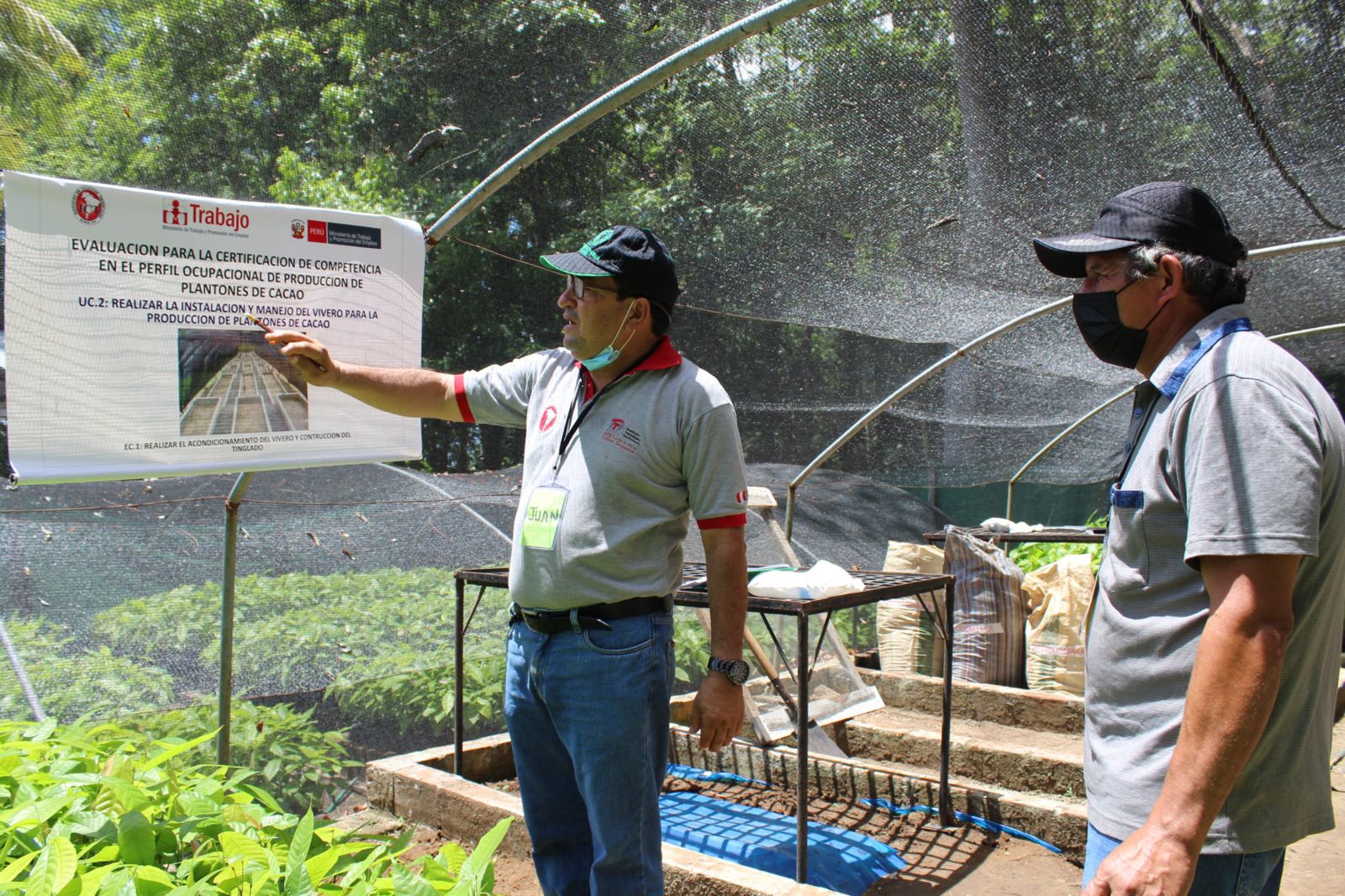 Evaluación para la certificación de competencias en un vivero de plantones de cacao